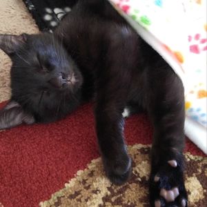 Meet your Posher, Yuna